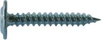 Mounting Screw